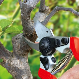 Scissors - professional pointed garden pruner Photo 4