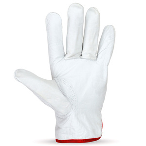 LEATHER GLOVES GALAXY PEGASUS WHITE L-2XL Photo 2