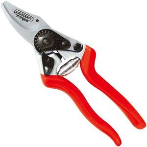 Scissors - professional pointed garden pruner